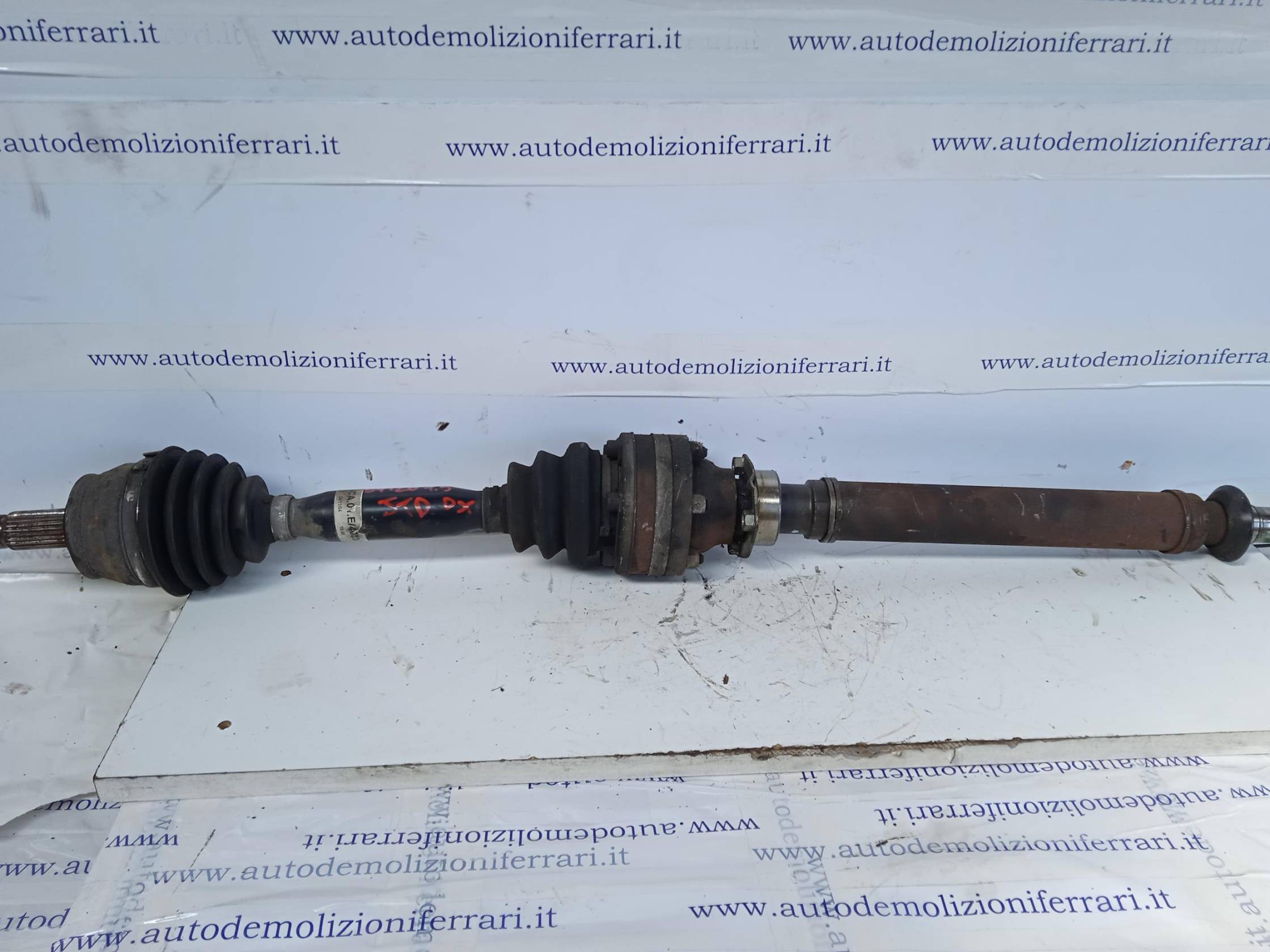 Semialbero ant. compl. dx.